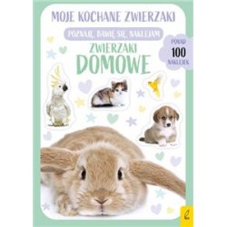 WILGA 90705 ZWIERZAKI DOMOWE