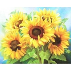 Obraz 55545 słoneczniki