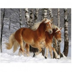 DIAMENTOWA MOZAIKA KONIE...