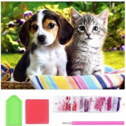 DIAMENTOWA MOZAIKA PIESEK...