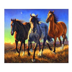 Malowanie po nr konie 55804...