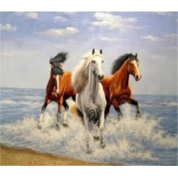 malowanie po nr  konie...