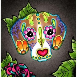 MANDALE 7D PIES KŁAPOUCHY...