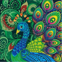 MANDALE PAW 65698 NORIMPEX