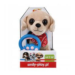Smily piesek chodzący na...
