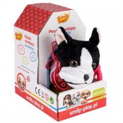 Smily piesek chodzący na...