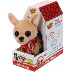 Smily piesek chodzący na...