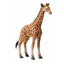 COLLECTA 88535 ŻYRAFA CIELĘ