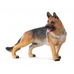 COLLECTA OWCZAREK ALZACKI