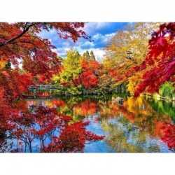 DIAMENTOWA MOZAIKA PARK...