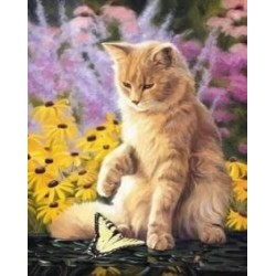 MALOWANIE PO NR KOCUR 56849...