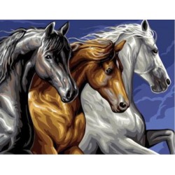 MALOWANIE PO NR KONIE 68064...