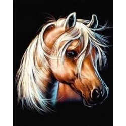 MALOWANIE PO NR KOŃ 56887...