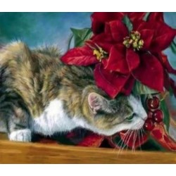 MALOWANIE PO NR KOT 56764...