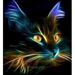 MALOWANIE PO NR KOT CZARNY...