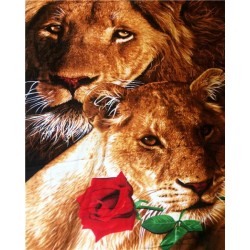 MALOWANIE PO NR LEW I LWICA...