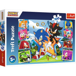 Puzzle Trefl 100 16465 Poznaj Sonica
