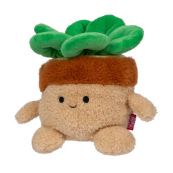 ORBICO 00008/09 JAZWARES...