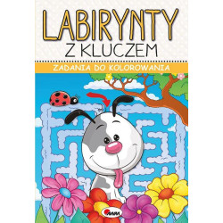 MOREX LABIRYNTY Z KLUCZEM...