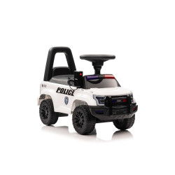 JEŹDZIK Z MEGAFONEM 11932...