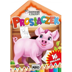 NIKO KOLOROWANKA Z ZAGRODY...