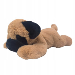 BEPPE 14078 PIES MOPS LEŻĄCY