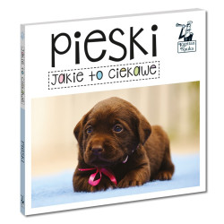 EDGARD 37001 PIESKI