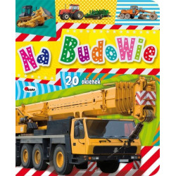 MOREX NA BUDOWIE 13518