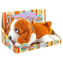 PIES FRIGO PODAJ ŁAPKĘ...