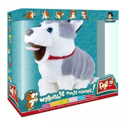 Madej Pies Figo na komendy...