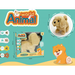 Madej Piesek chodzi i...