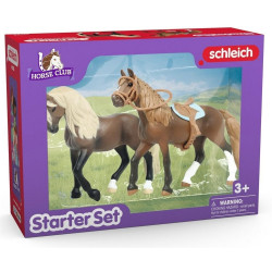 SLH 42738 ZESTAW START PASO...