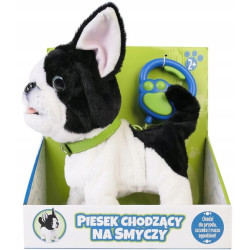 PIES CHODZĄCY NA SMYCZY 69120 ARTYK