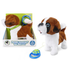 PIES CHODZĄCY NA SMYCZY ARTYK