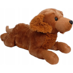 PIES GOLDEN 60CM LEŻĄCY...