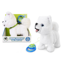 PIESEK CHODZĄCY NA SMYCZY...