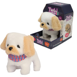 ASKATO PUPILEK PIESEK 26050