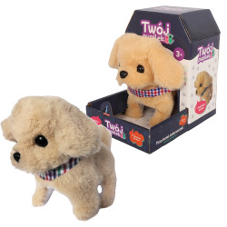 ASKATO PUPILEK PIESEK 26067