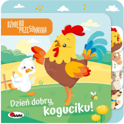 MOREX DŹWIĘK DZIEŃ DOBY...