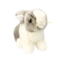 BEPPE 14094 KRÓLIK...