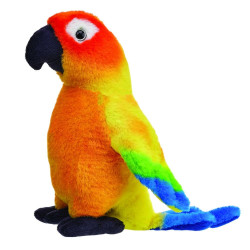 BEPPE 14142 KONURA...