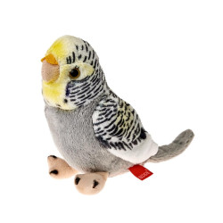 BEPPE 14161 PAPUGA FALISTA...