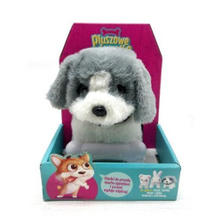 PIESEK CHODZĄCY Z KOŚCIĄ ARTYK