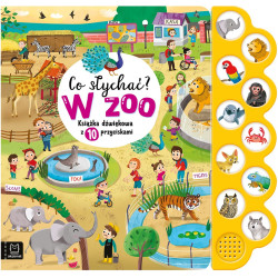 AKSJOMAT W ZOO KSIĄŻKA...