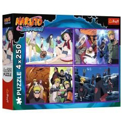 PUZZLE 13339 TREFL 4X250...