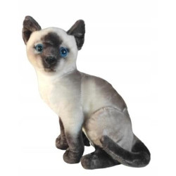 DUBI KOT SYJAMSKI SIEDZĄCY...