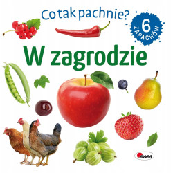 MOREX CO TAK PACHNIE? W...