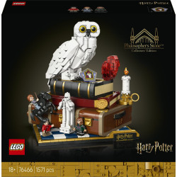 LEGO HARRY POTTER 76466...