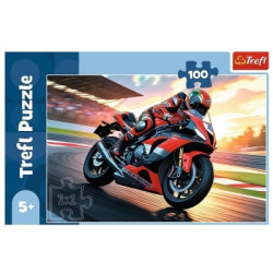 PUZZLE TREFL 100 16489...