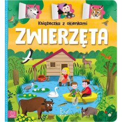 AKSJOMAT 32632 KSIĄŻECZKA Z...